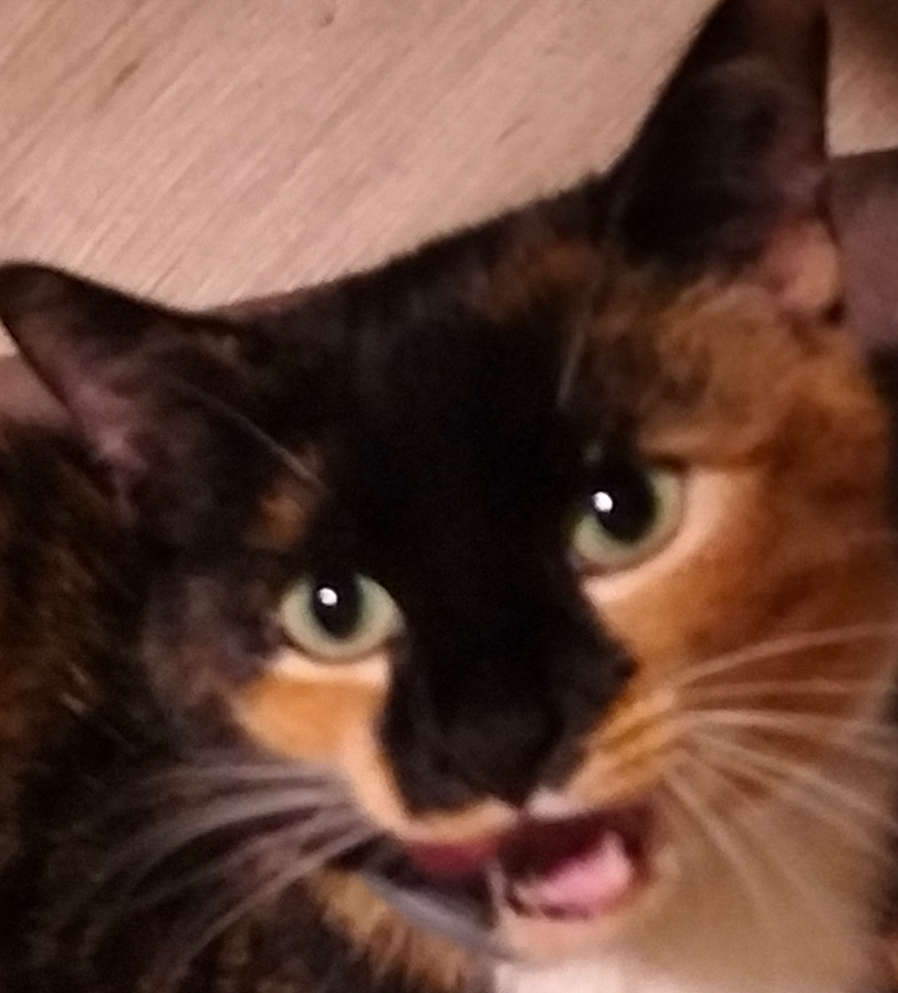 Mes mois de février-mars