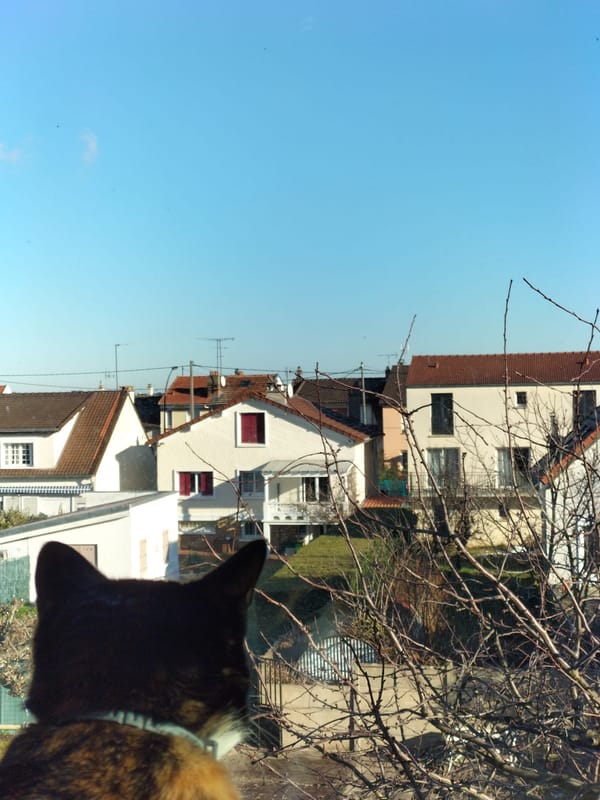 Mes mois de septembre à décembre